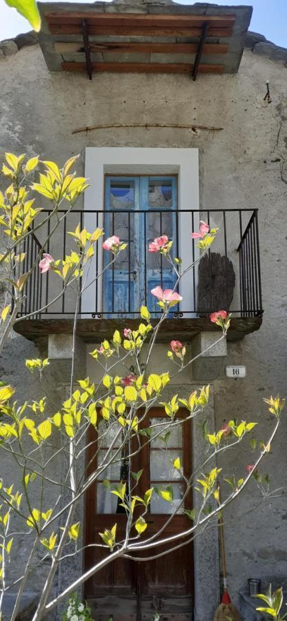 Ca Betulla Villa Novate Mezzola Exterior photo