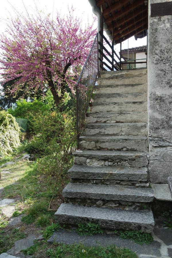 Ca Betulla Villa Novate Mezzola Exterior photo